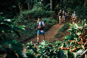 BIB: 
                            <button type="button" onclick="openModal(25845378)" class="btn btn-primary btn-sm float-right btn-popup" data-toggle="modal" data-target=".modal-high-quality">
                        <i class="fas fa-shopping-cart"></i> Add to Cart
                    </button>
                                            <button type="button" onclick="isThisMe(25845378, true)" class="btn btn-success btn-sm float-right btn-popup btn-isme hidden" data-toggle="tooltip" data-placement="bottom" title="นี่คือรูปของคุณใช่ไหม คลิกที่นี่เพื่อเอาเข้าอัลบั้ม">
                        <i class="fas fa-plus"></i> Add to album
                    </button>
                    <button type="button" onclick="isThisMe(25845378, false)" class="btn btn-warning btn-sm float-right btn-popup btn-isnotme hidden">
                        <i class="fas fa-ban"></i> Remove from album
                    </button>